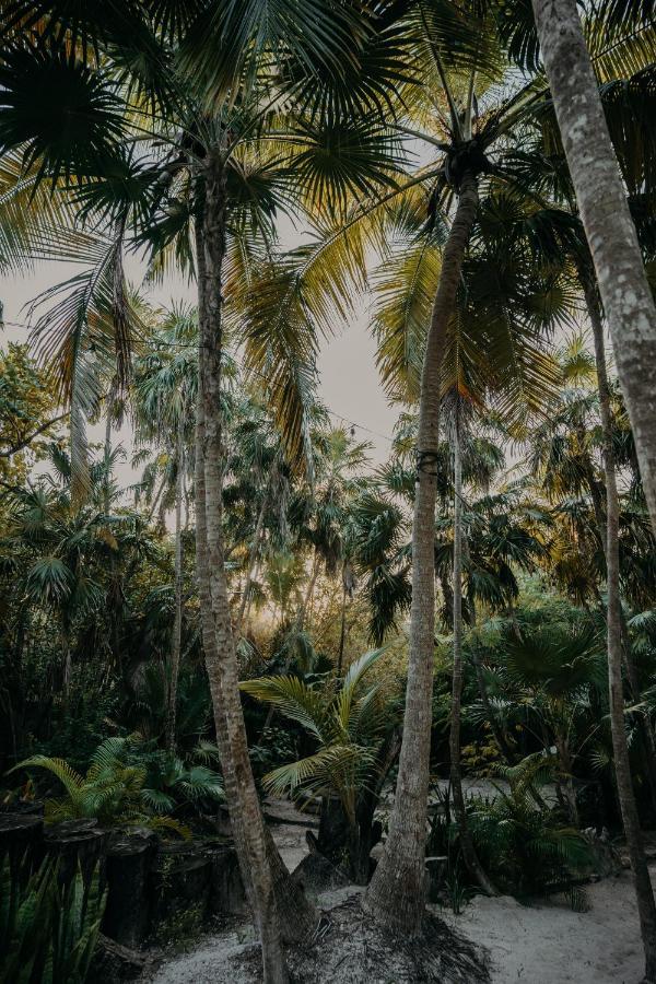 Ether Tulum Exterior photo
