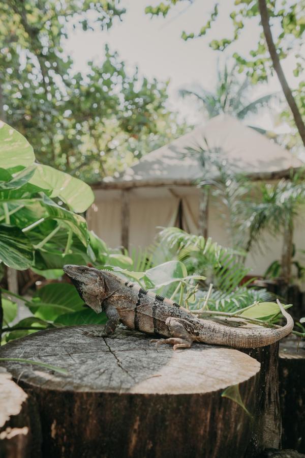 Ether Tulum Exterior photo